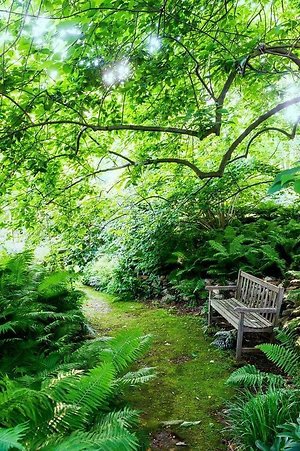 Mindfulness classes & courses . 